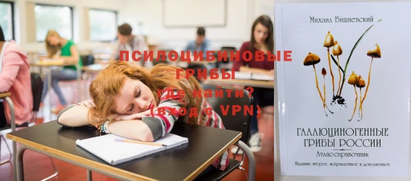 apvp Нязепетровск
