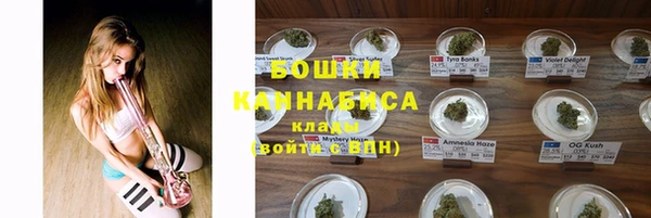тгк Новодвинск