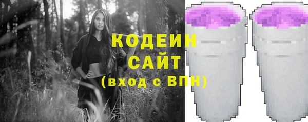 дживик Иннополис