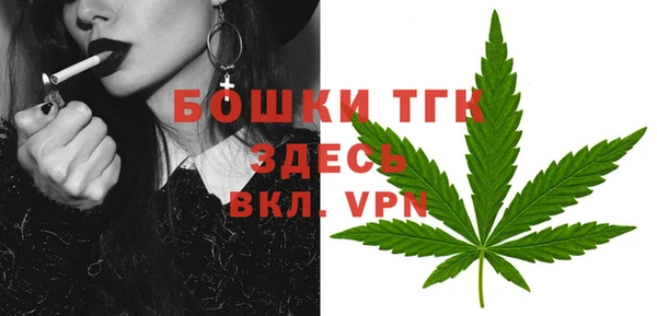 apvp Инта