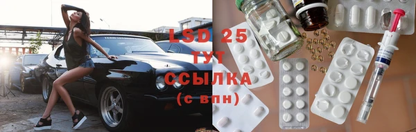 тгк Новодвинск