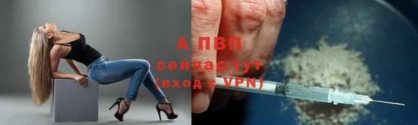 винт Новокубанск