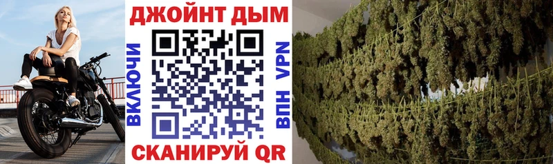 Конопля OG Kush  Болхов 